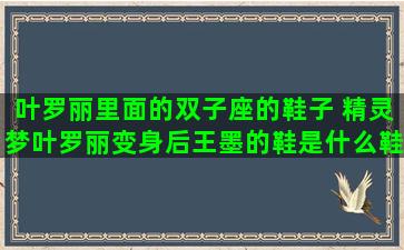 叶罗丽里面的双子座的鞋子 精灵梦叶罗丽变身后王墨的鞋是什么鞋